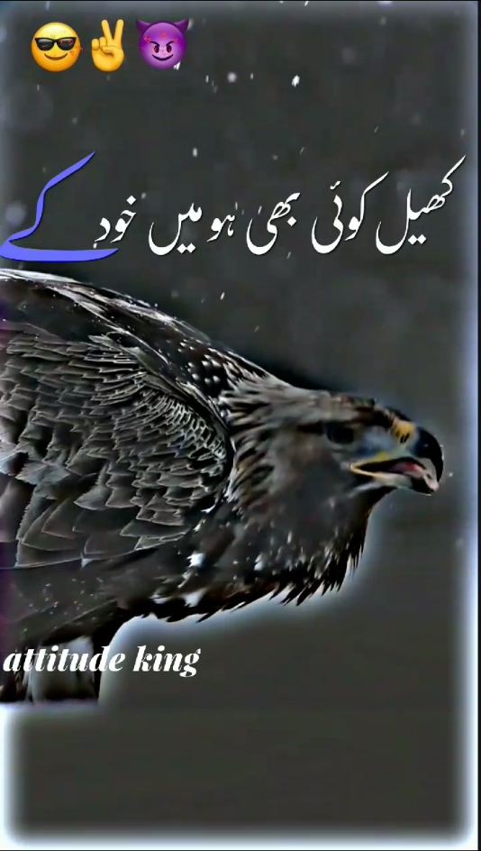 #کھیل کوئی بھی ہو میں خود کے دم پہ#✌️😈👑 ##foryoupage #🖇️✨🥀💔 #standwithkashmir #fyp #attitude King 👑 #500k#poetrystatus #viralmyvideoplztiktok #whatsappstatus #goviral#NotYourAffan#500k 