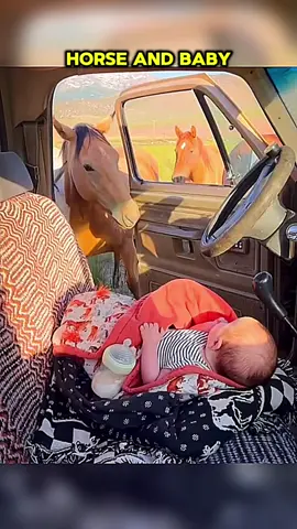 Horse and baby #horse #babyhorse #horses #horsesoftiktok #bestfriend #animals #animalsoftiktok #animalrescue 