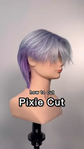 Pixie cut tutorial 🧚‍♂️ This video will show you how to create this undercut style which is great for thick hair! #haircuttutorial #wolfcut #pixiecut 