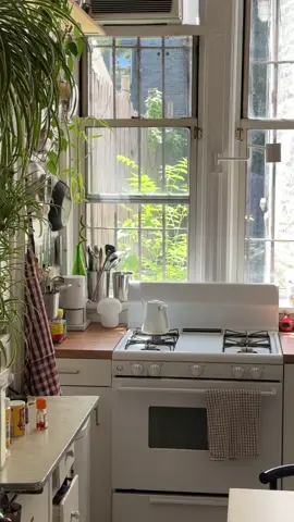 peak summer kitchen 🌿☀️🪟