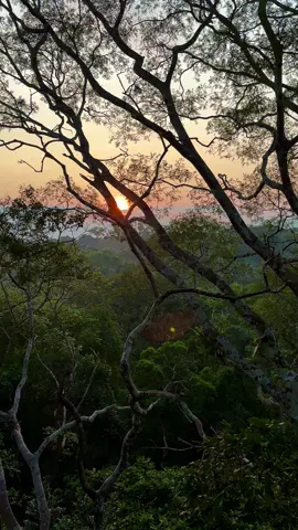 Me despido del Sucusari y sus bosques con este amanecer sobre los puentes de #Explorama. Hermoso! #Canopy #Amazonia #Sucusari #Napo #amanecer #puentescolgantes #sonidos #Peru #Bosque #selva #Naturaleza 