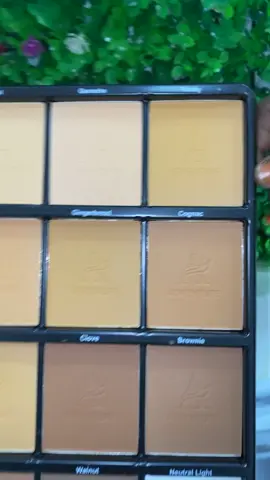 Palette poudre 12teintes de la marque adventure disponible 789558317 longue tenue Couvrance et matifiante  #foundation #powder #avour #avourcosmetics #nigerianmakeup #viral #tutomakeup 