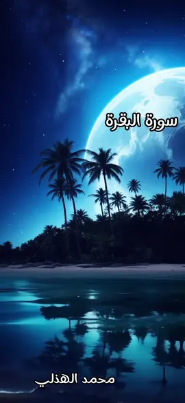 #سوره_البقرة  القاري محمد المحيسني  تصميم محمد  الهذلي 