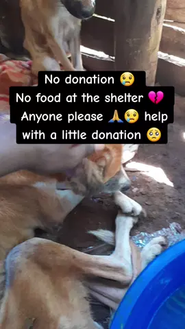 Am here calling  upon your support towards my shelter 💔 😢 any with some help please 🙏 chat me so that I can send you the link for donation thank you may God bless you 🙏 Amen 🙏 