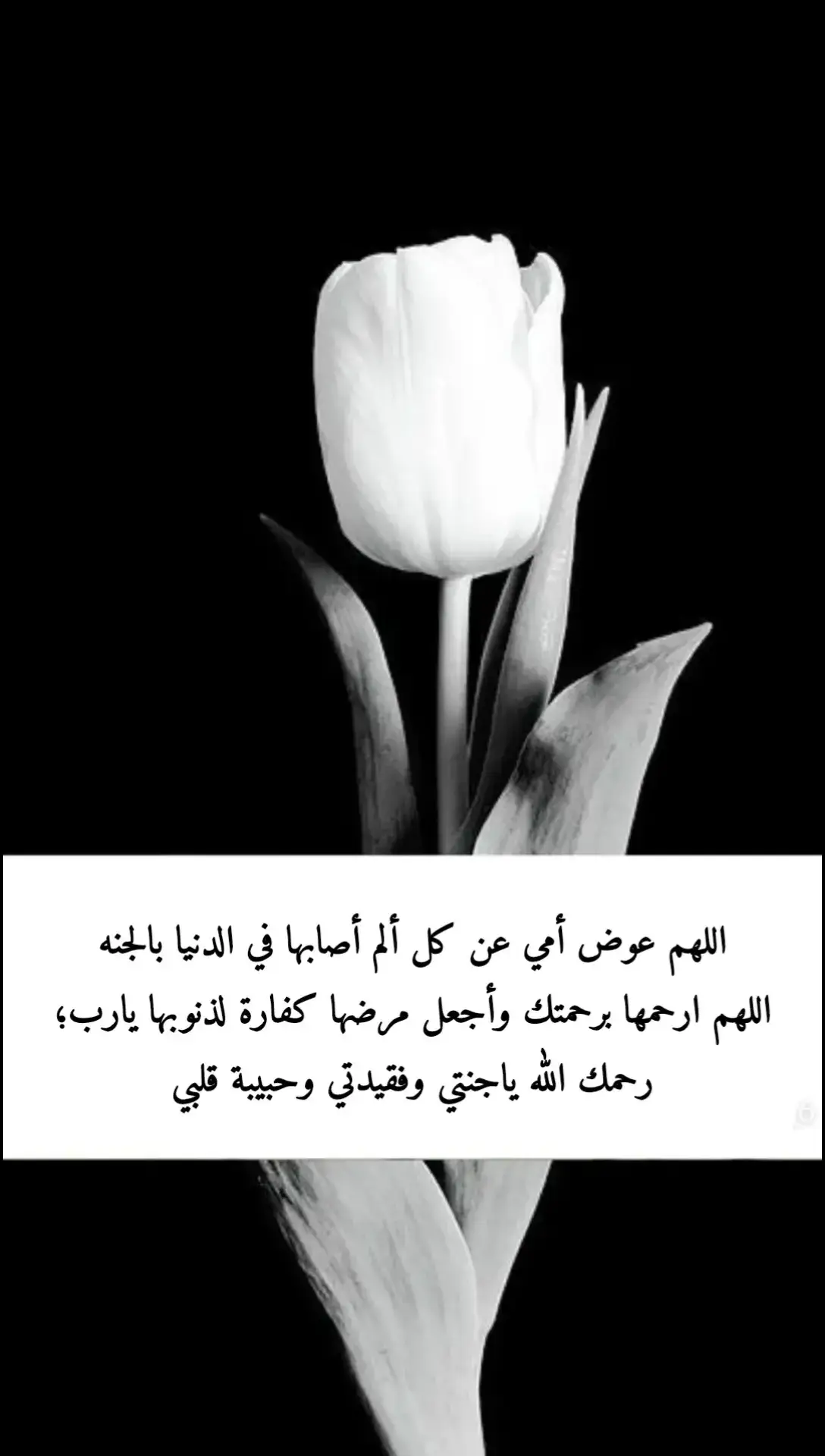 اللهم اغفر لأمي وارحمها واسكنها فسيح جناتك #دعاء #الموتى_لاتنسوهم_من_دعائكم #ذكر #اكسبلور #الفقدان_مؤلــم #الفقد #capcut 
