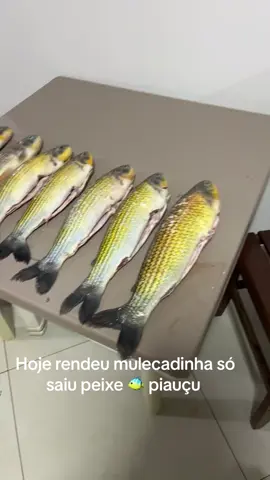 #FalaGalvao 
