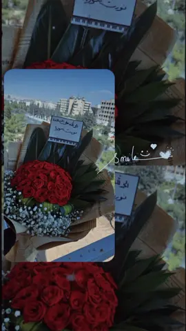 الف الحمد لله على سلامتك نورت سوريا صهر الغالي