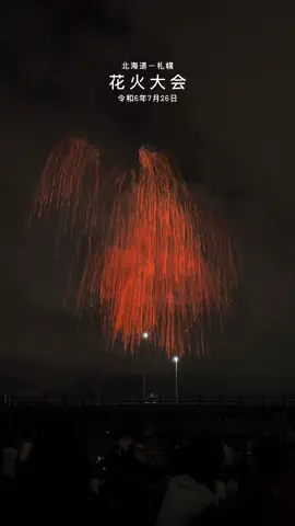 Satisfying fireworks in Japan . . . #japan #hokkaido #sapporo #fireworks #花火 #花火大会 #祭司 #日本 #北海道 #札幌 #foryoupage #cinematic #satisfying #satisfyingvideo 