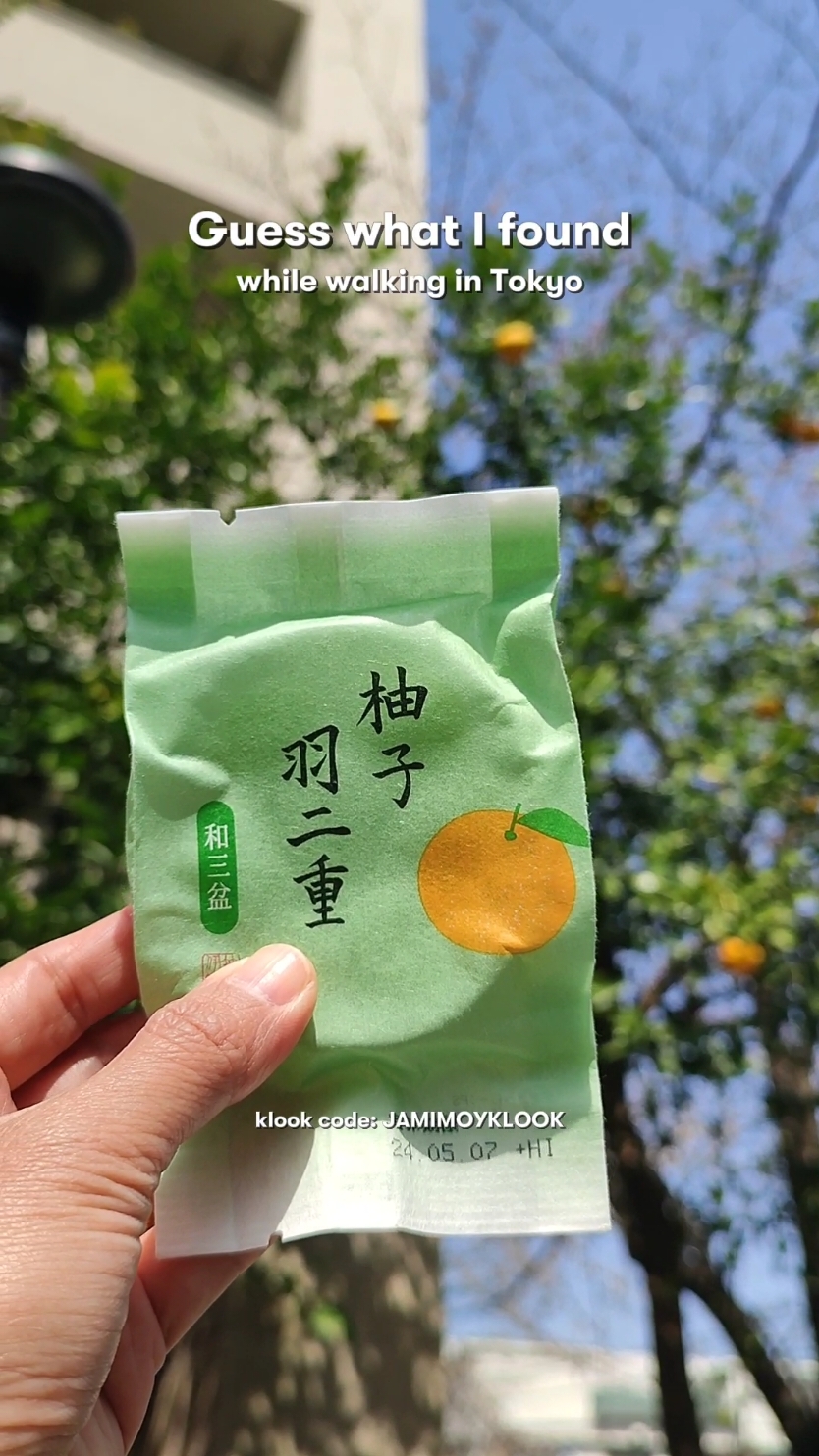 Yuzu 🍋🍊 is a unique citrus fruit that's like a cross between lemon and orange. Such a wholesome experience to see a Yuzu tree with lots of fruits! Ang pretty! [Use 𝗝𝗔𝗠𝗜𝗠𝗢𝗬𝗞𝗟𝗢𝗢𝗞 on Klook bookings to save on your Japan and other trips!] #japantravel #japanfinds #yuzu #explorejapan #traveljapan #jamimoyvlogs 