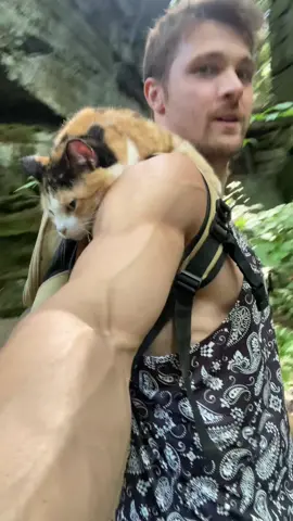 Playing in the woods with Nala my cat.. Nala made lots of new friends on the trail today ☺️ #catsoftiktok #adventure #explore 