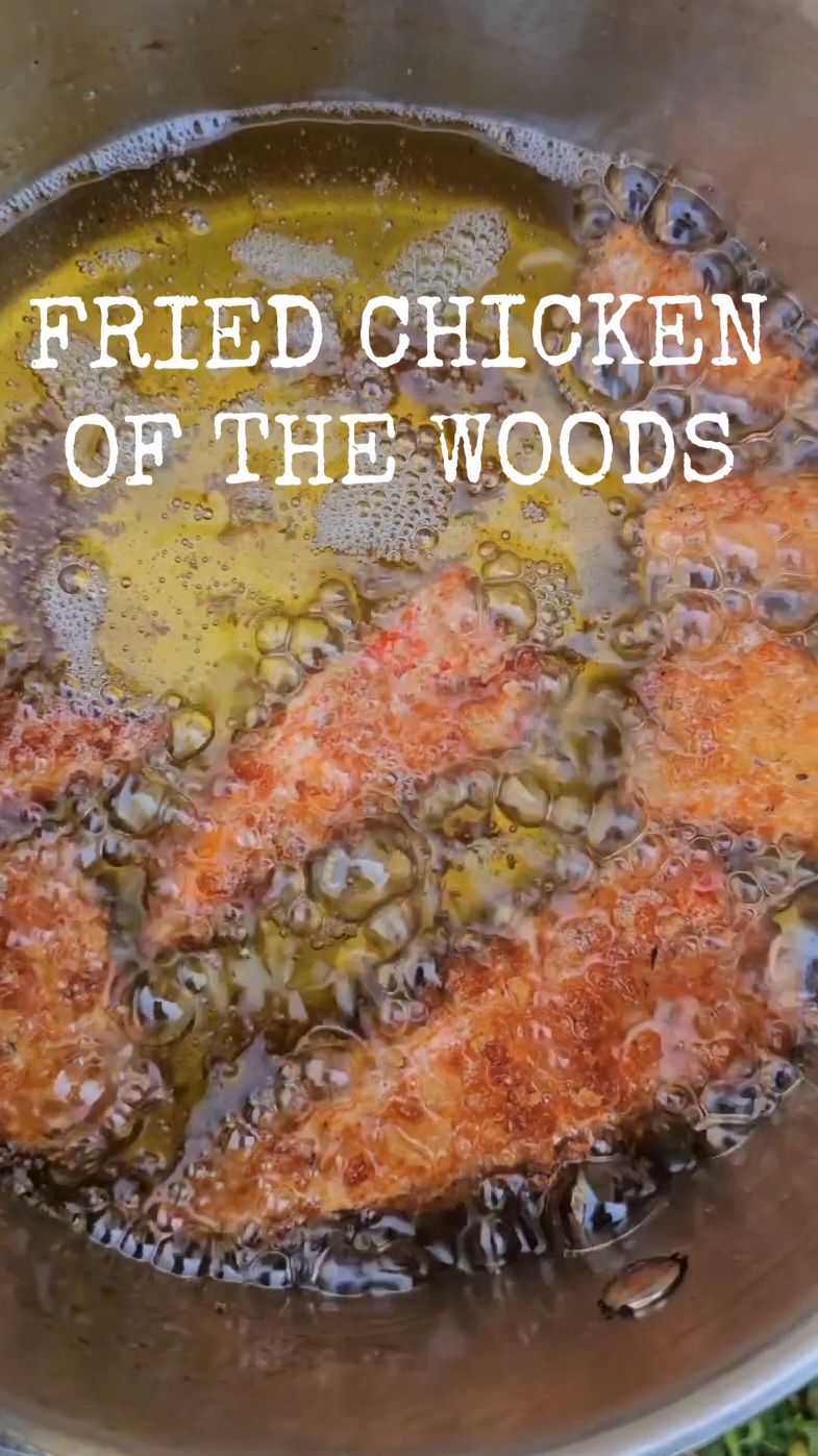 Making fried Chicken of the woods 🐔🍄 #foryou #foryoupage #foraging #mushroom #selfreliance #wildfood #chickenofthewoods #friedchicken 