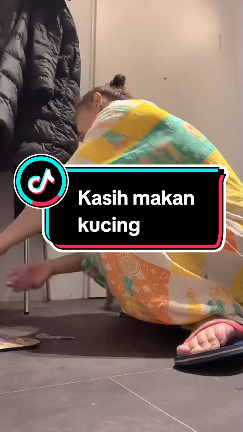 Bunda kasih makan kucing dulu... #foryoupage  #capcut  #anakbundacorla  #anakbunda  #bundacorla 