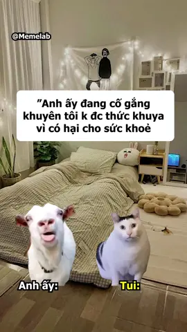 Tác dụng = 0  #memelab #xuhuong #cat #meme #ccn