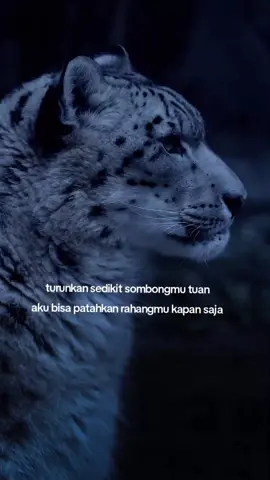 tau kan orang jawa seperti apa#fypシ゚viral #foryoupage 
