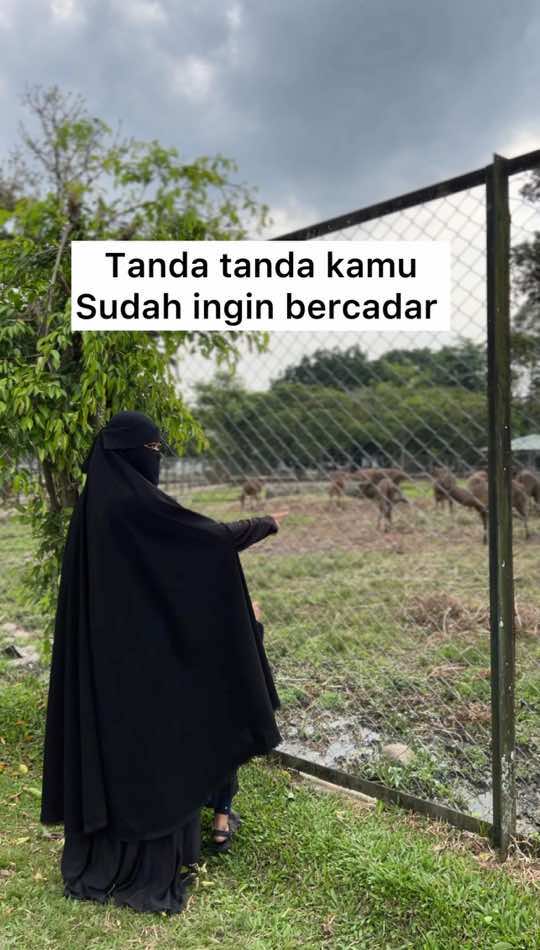 Tanda tanda kamu ingin memulai bercadar  1. Sudah mulai merasa risih jika wajah tdk tertutup 2. ⁠mulai membeli cadar, agar di saat yg tepat bisa dipakai  3. ⁠mencari teman yg se frekuensi dan bercadar , serta mempelajari ilmu tentang cadar  ⁠ 4. ⁠dan banyak hal lainnya yg membuat semakin ingin bercadar  Masha’Allah tabarakallah salah satu hidayah dari Allah, yg mengarahkan kita pada kebaikan , 🥰 Jemputlah hidayah itu salihah  Jika dengan memakainya membuatmu lebih aman, lebih terjaga, dan membuatmu menjadi pribadi yang lebih baik, maka lakukanlah.. semoga keluargamu ridho atas perubahan mu ya salihah💕 Yang salfok dengan khimar yang ukhra pakai of course pakai khimar Rahma jumbo reborn dari @itsme__ra  #wanitabercadar #muslimahhijrah #fyp #akhwatbercadar #dakwahislam 