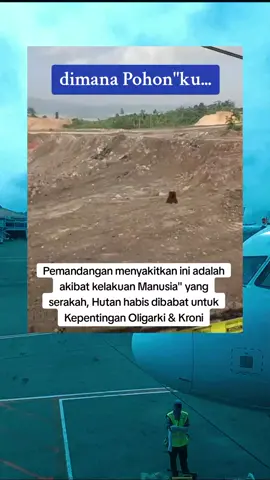 #tanahairku #kalimantan #viral #viralvideo #viraltiktok #fyp #fypシ #fypシ゚viral #indonesia #malaysiatiktok 