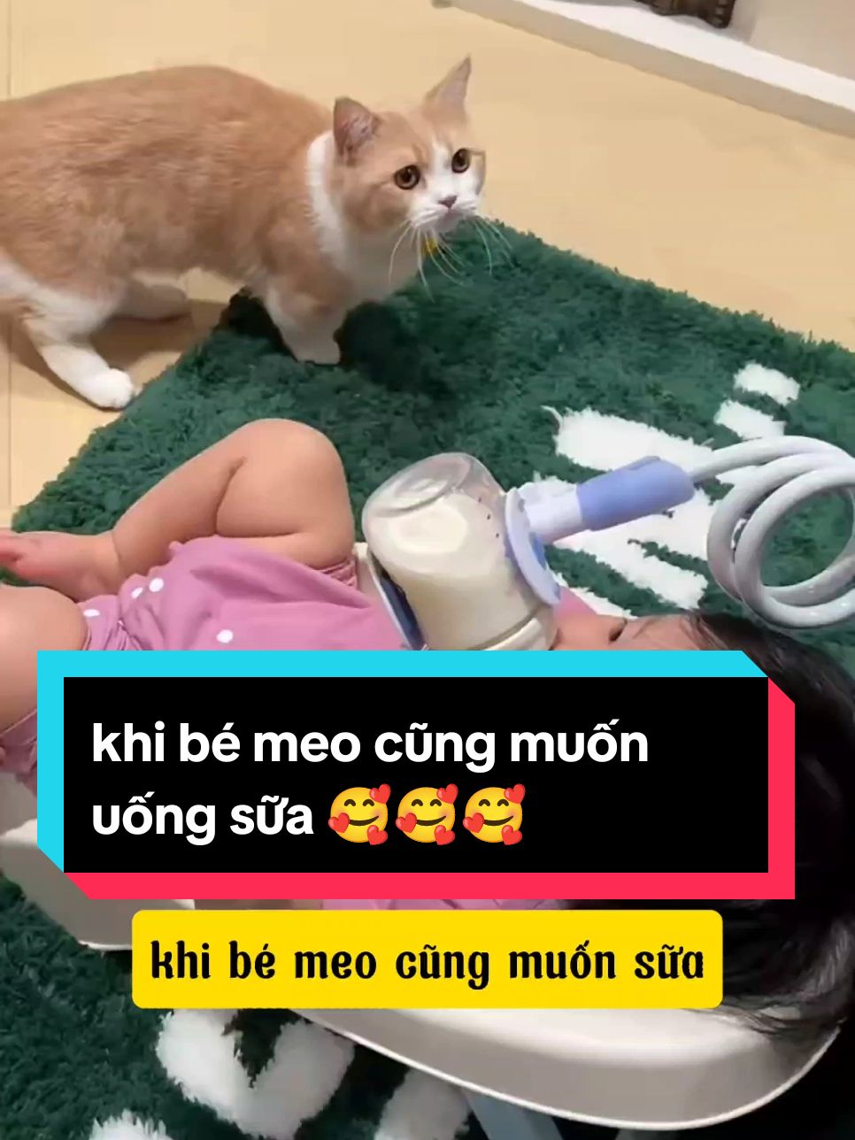 khi bé meo cũng muốn uống sữa #mèo #meow #mèocam #dễthương #đángyêu #xuhướng #trending #thinhhanh 