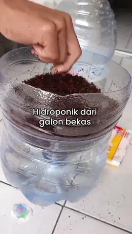 Manfaatkan galon bekasmu untuk menanam dengan sistem hidroponik sederhana ✨ #hidroponik #pertanian #cocopeatindonesia #sekambakar