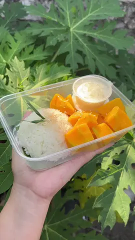 BestSeller 🥭🥭 #mangostickyrice  #fyp  #dapurnesnos  #nganjuk24jam  #kulinernganjuk 