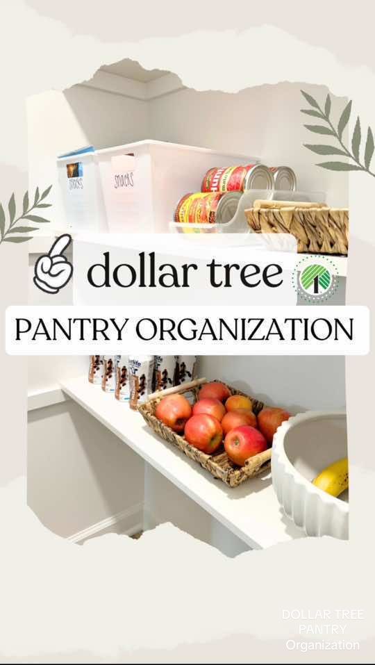 Dollar Tree ✨PANTRY✨ organization ideas!  👉🏻 Which idea was your favorite?! 🤩📸👇🏻 SHOPPING list: 🛒 Dollar Tree Wire Basket  🛒 Dollar Tree Locker Bins 🛒 Dollar Tree Beverage Dispenser Bins 🛒 Dollar Tree Clear Acrylic Containers/ Jars 🛒 Dollar Tree Large Woven Style Baskets 🛒 Dollar Tree Fabric Storage Box w/ Lid  #DIY #organization #organizationideas #dollartree #hack #homehacks #Home #homedesign #diyproject #tutorial #hacks #budgethomedecor #Lifestyle #decorhacks #lookforless #kitchen #pantry #pantryorganization #design #diyproject @Dollar Tree 