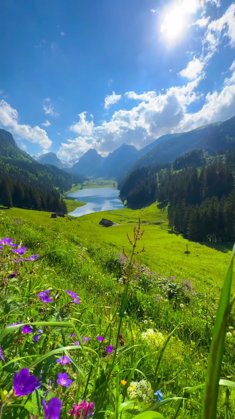 🚩 Beautiful Place 🇨🇭⛰️🏡🪴🌸🌷 #fyp #nature #switzerland #swissaround #traveltiktok #naturalbeauty #viral #100k 