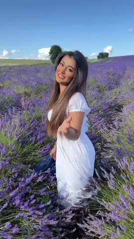 Be alone stay happy ♥️ #uk #lavender #travel #traveldiaries #tiktokmiddleeast🇦🇪 #uae🇦🇪 #fypシ゚viral #fypシ゚viral #reshmamaryam1305 #series #beauty #trending #lovestory #fyppppppppppppppppppppppp #1m #keepsupporting #for #white #alonelife 