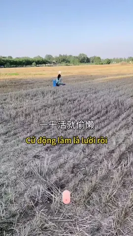 chuyện tình bánh kếp 56-57-58-59-60