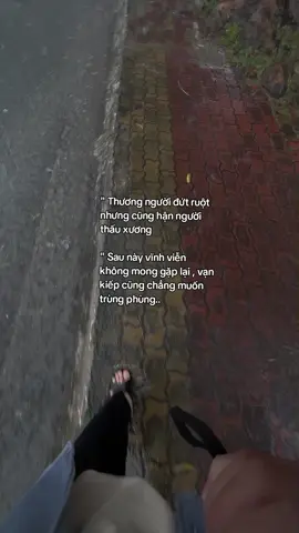 #fyp #xuhuongtiktok 
