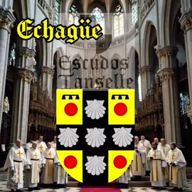 Echagüe #echagüe #heráldica #heraldica #escudostanselle #separtedetuhistoria 