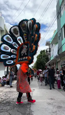 Tlahualiles 2024 😍.  #Tlahualiles #Michoacan #FiestasPatronales #SantiagoApostol 