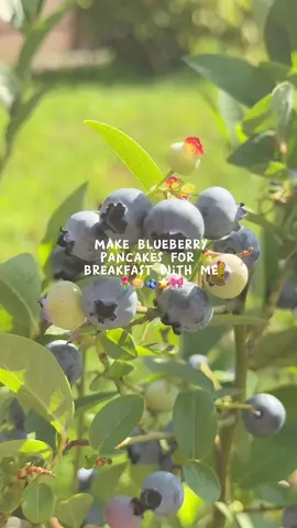 These were so good!🫐🤗 #blueberry #pancakes #breakfast #cooking #pinterest #Recipe #aesthetic 