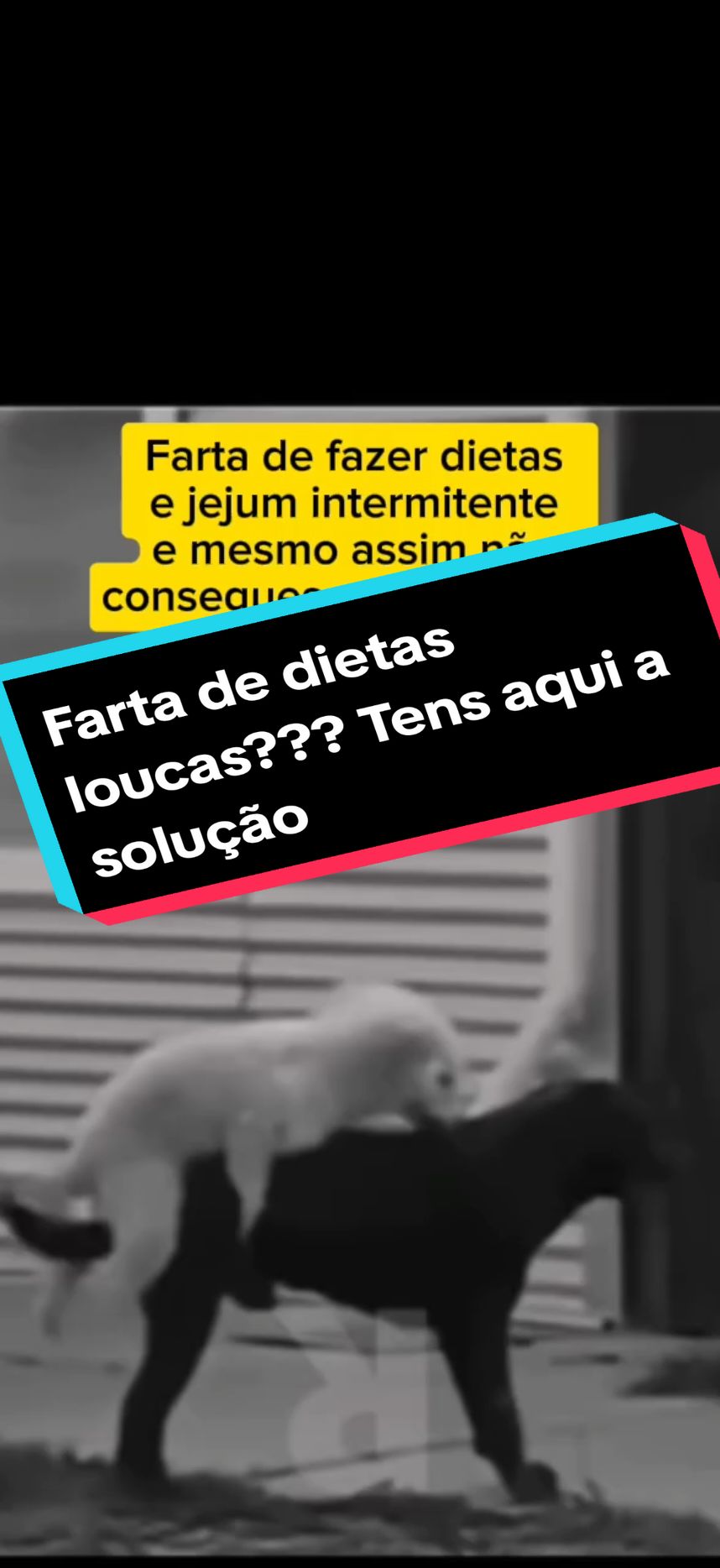 Farta/o de dietas loucas??? Tens aqui a solução 🤩 #verao #dieta  #deusagregadotiktok #familiael_midon  sigam o meu mágico @Hugo Miguel Midão ,❤️