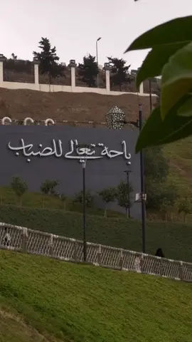 ‏بـاحة تعالي للضباب 🤍☁️.. ‏باحة ضميني وأحكي لي عن جبال يداعبها السحاب✨ .. #اكسبلور #اكسبلورexplore #CapCut #اكسبلورر #الباحة #منتزه_الامير_حسام 