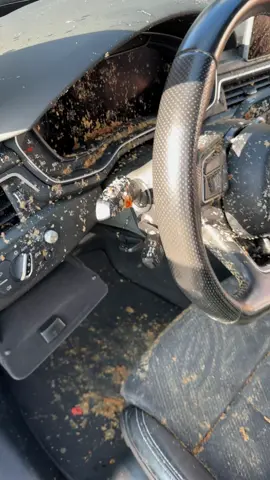 Gekotst achter het stuur!🤮🤮 #audi #s 