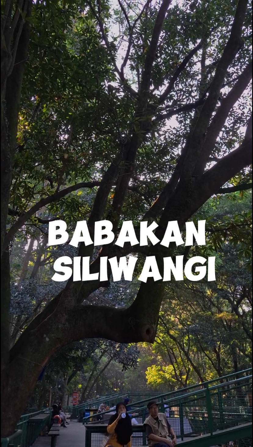 Membalas @flo.sihombing.beremora #FindItAtWatsons  Hutan Kota Babakan Siliwangi #fyp #plactogo #PlacesToVisit #ngocehkuy #ngocehkuy #indonesiapunya #CapCut #hutankota #babakansiliwangi #babakansiliwangiinbandung #jalanjalanbandung 