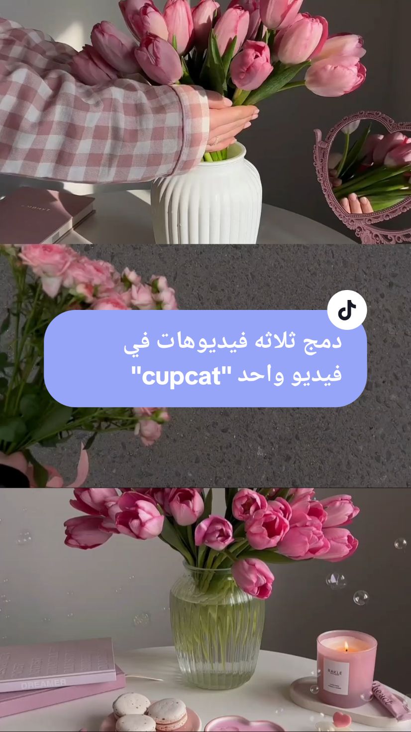 البرنامج cupcat  #edit #montage #مونتاج #algéria #socialmediadesgin #contentcreator 