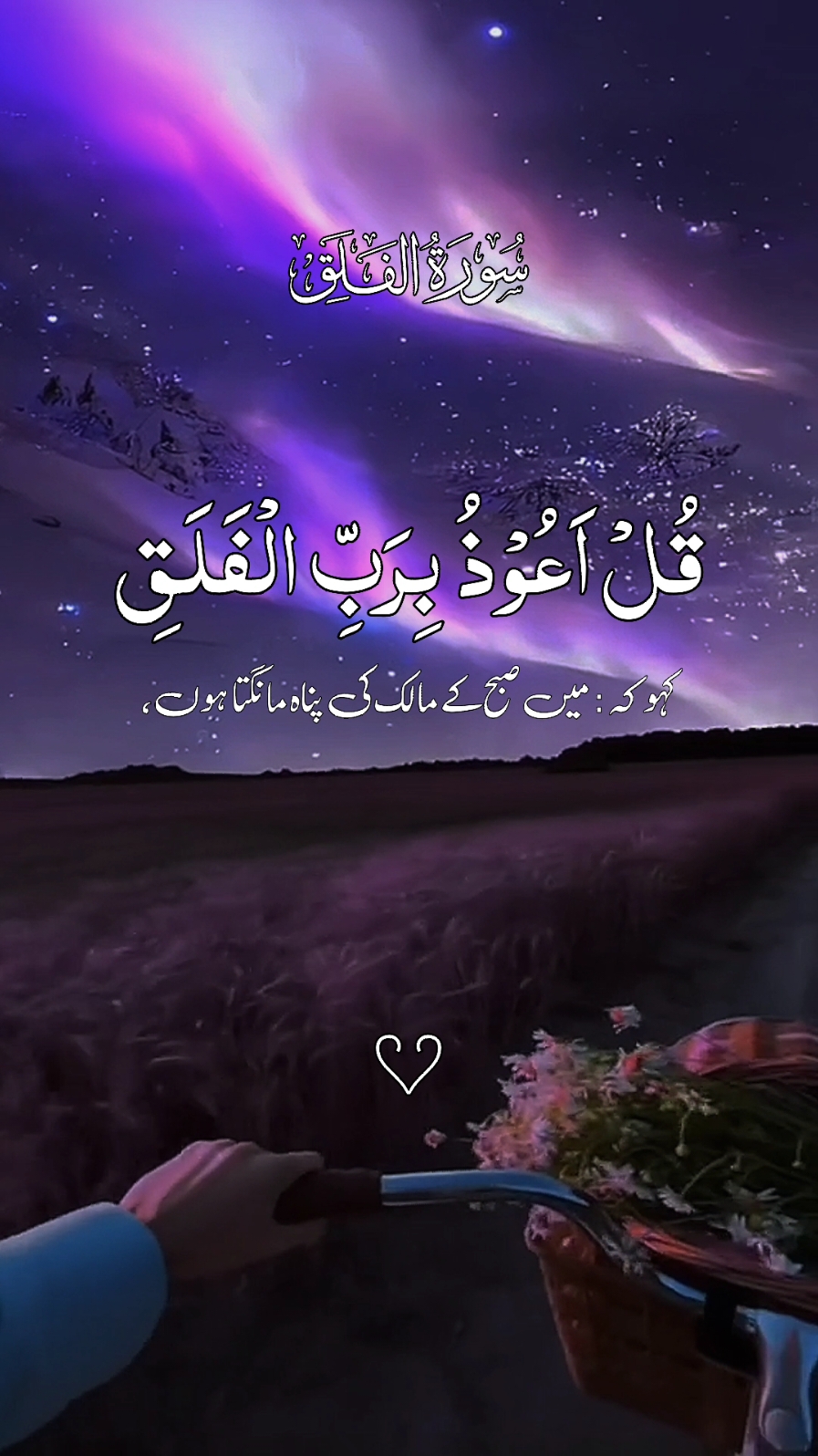 القرآن الکریم 🌹🌹❤ #quran #quranicquotes #islamicreminders #islamicreelsvideo #islamicquotes #quran #islamicquotes #quran #islamicreminder #please #quran_kareem #quranrecitation #islamicreminder @TikTok @TikTok UK @tiktokglobal 