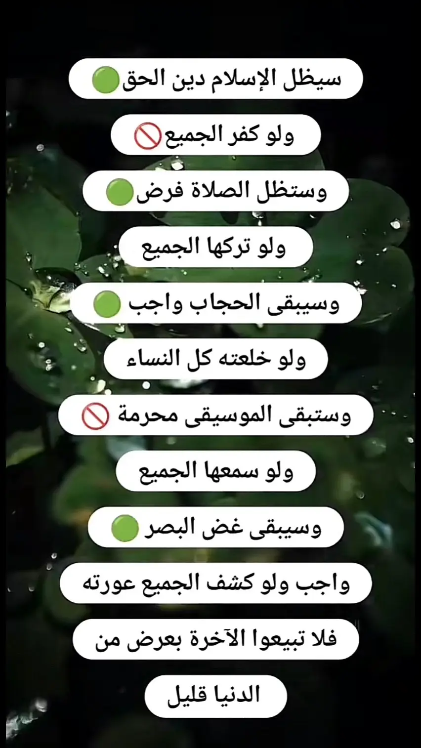 #الأندلس_من_الفتح_إلى_السقوط  @𝒁𝑬𝒀𝑵𝑬𝑷🪽زيَنب 