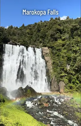 🌿 Discover the breathtaking beauty of Marokopa Falls in New Zealand! 💦 Nestled in lush greenery, this stunning 35-meter waterfall is a must-see for nature lovers and adventure seekers. 🌏✨ #Travel #NewZealand #MarokopaFalls #NatureLovers #nz #waterfall #walk #hike #explore 
