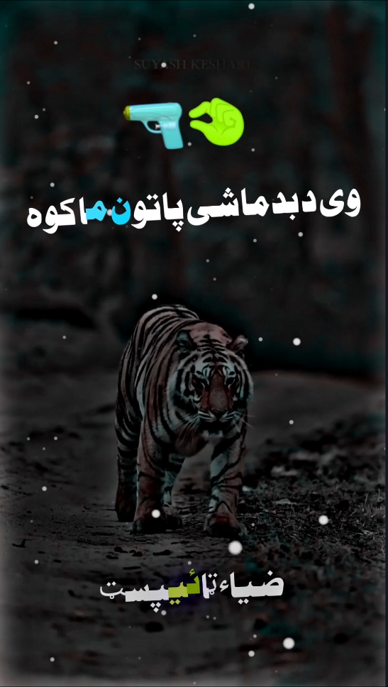 da badmashy partoona ma kawa  Qurban de shama  #pashtolines #pashtopoetry #viral #pashto #100k 