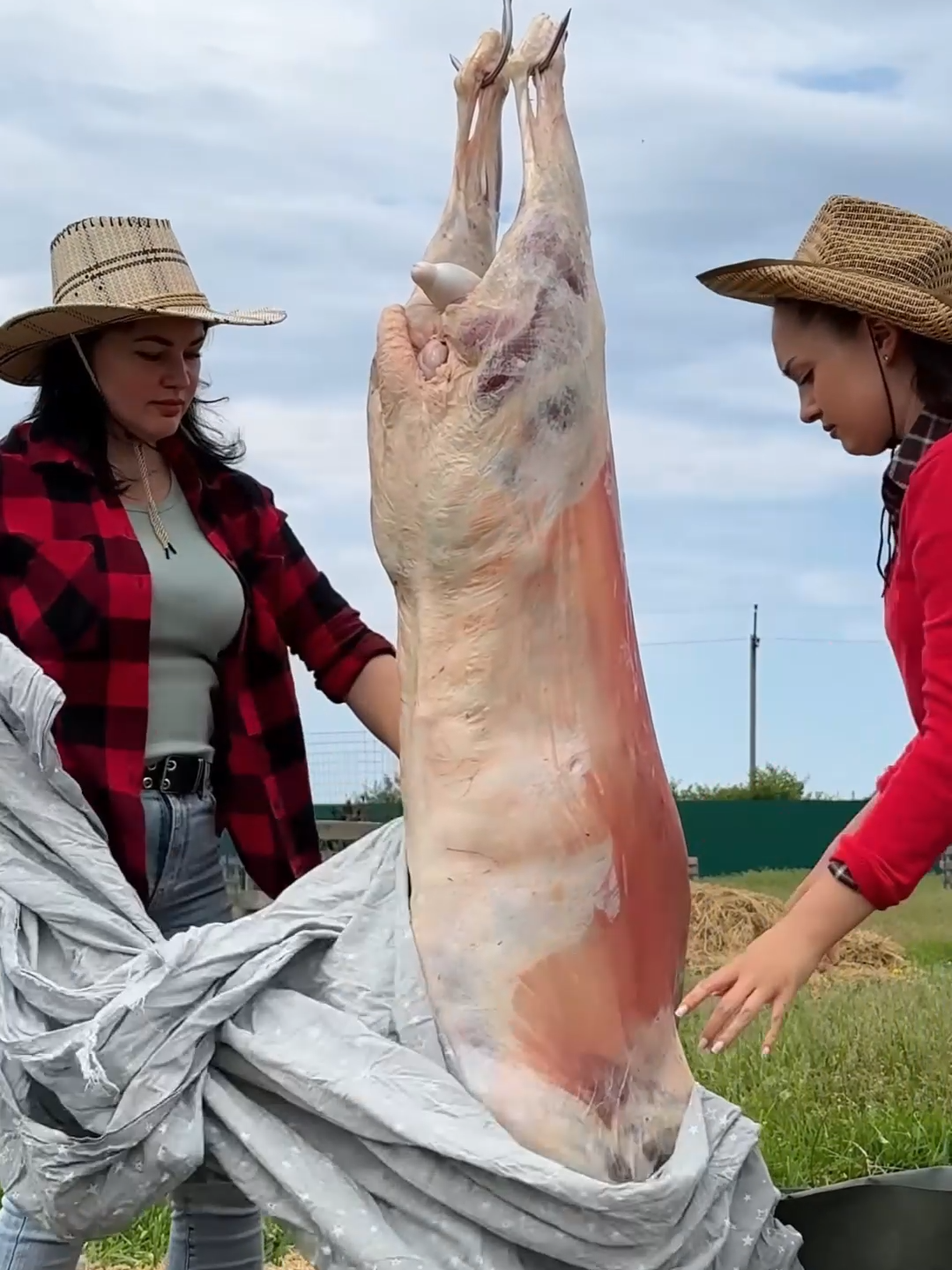 Dinner from 50 kg LAMB! Steak on ribs#cooking #asmr #food #garden #steak #lamb