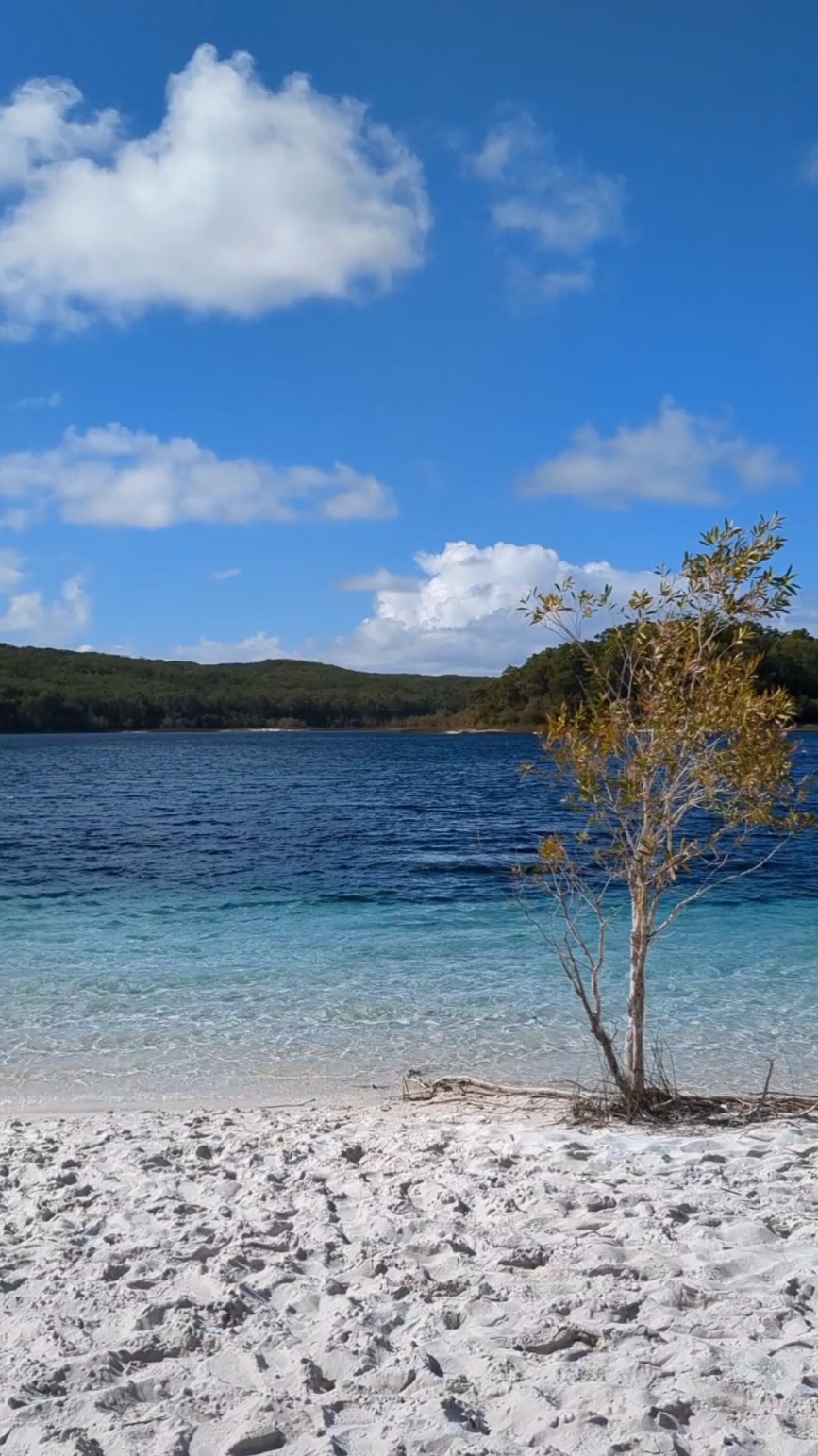 K'Gari is Paradise on earth! #foryoupage #fyp #australia #travel #kgari #fraserisland 