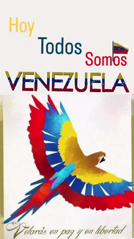 #venezula🇻🇪 #venezuelalibre🇻🇪 #venezuelaelecciones2024 #mariacorinamachado #libertad #viraltiktok #todosomosvenezuela🇻🇪 
