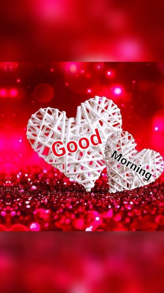 Good Morning Have a Nice Day 💕💕💕#goodmorning #2024 #fyp #foryou #tiktok #fypage #goviral #fypシ゚viral 