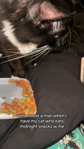 baby p is the only boy for me🥹😂 #catsoftiktok #cattok #tuxedocat #catslovers #peanutcentral #cutecat #midnightsnack 