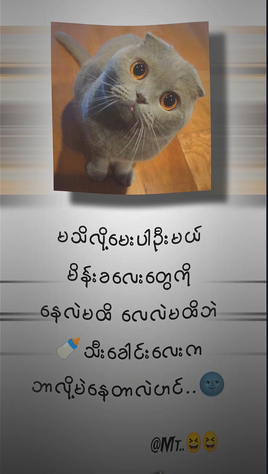 ဘာလို့မဲနေတာလဲဟင်🌚 #mtခေါ်ကြကွာ😁😝💖 #ဒီတစ်ပုဒ်တော့fypပေါ်ရောက်ချင်တယ် #fyp #fypシ゚viral #fyppppppppppppppppppppppp #presetxml #5mb #ရောက်ချင်တဲ့နေရာရောက်👌 