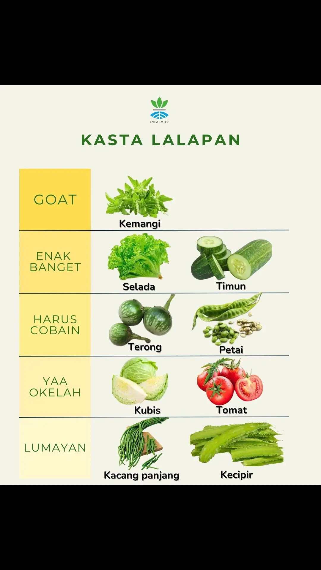 Kalau minfarm paling suka kemangi, kalau kalian apa nih ?  #infarm #infarmid #berkebun 