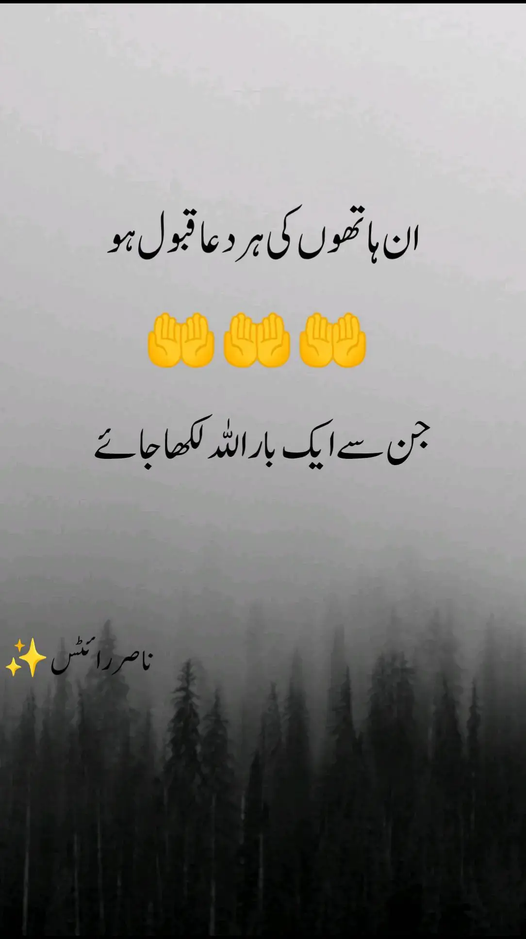 sab comment main allah likho allah pak apki hr dua qbool famain Ameen 🤲🤲🤲