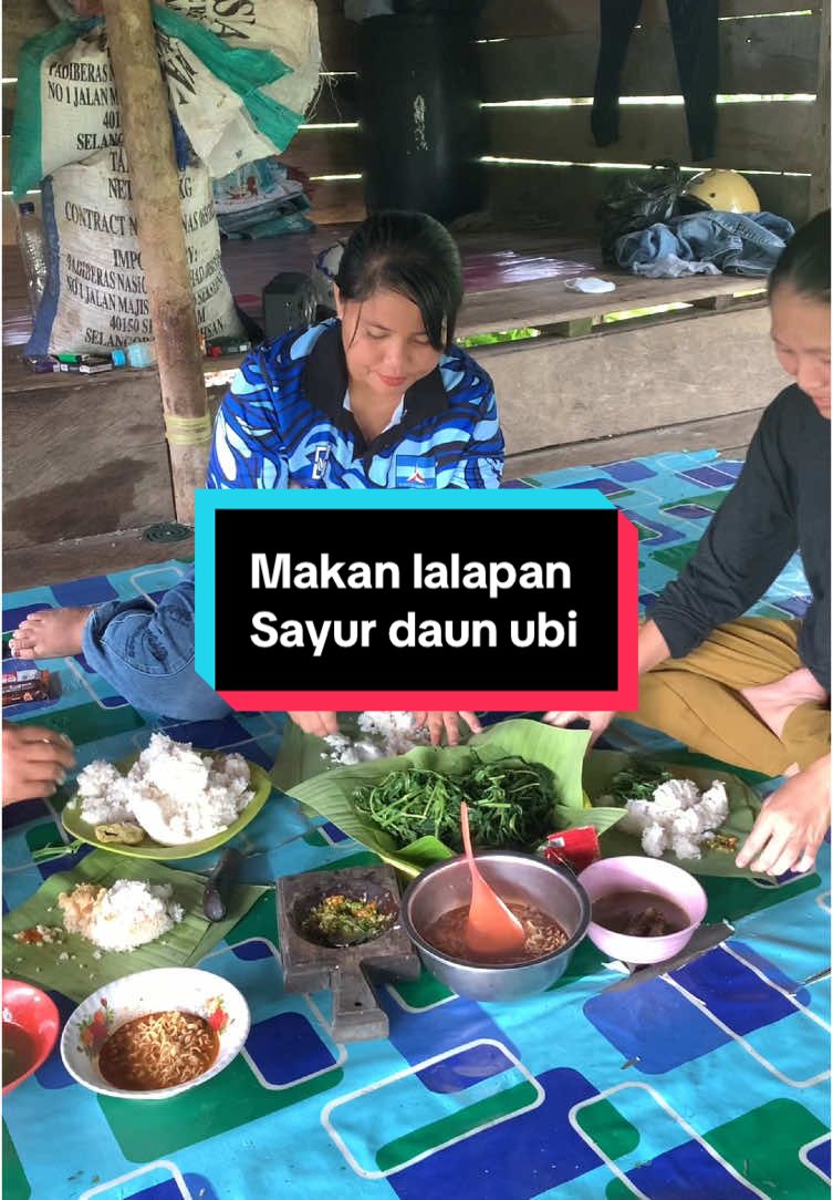 Makan lalapan sayur daun ubi di pondok kebun #makanlalapan #Fyp  #ngebolang #panensayuran 