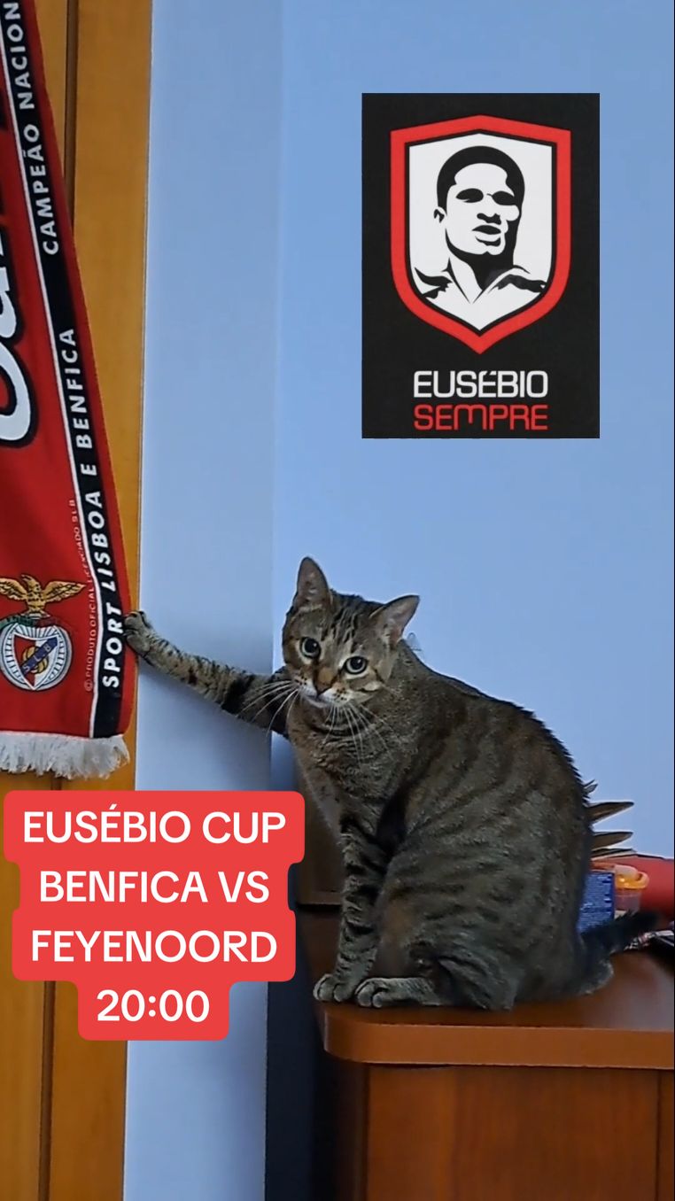 Louca pelo Benfica, Hoje é Dia de 